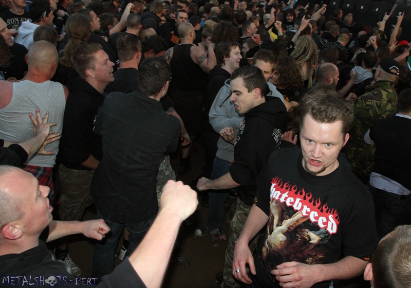 Fortarock_0313.jpg