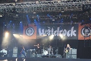 Waldrock_0249